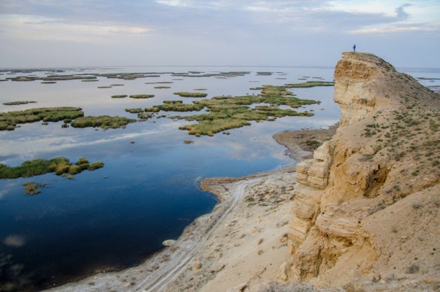 Aral Sea Coast